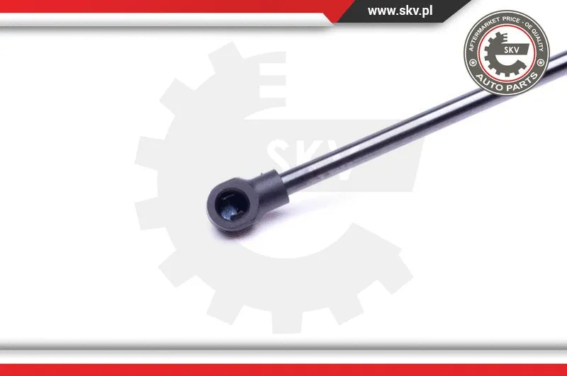 Gas Spring, boot/cargo area