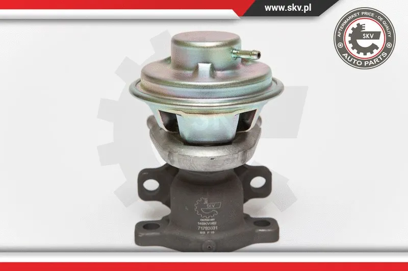 EGR Valve