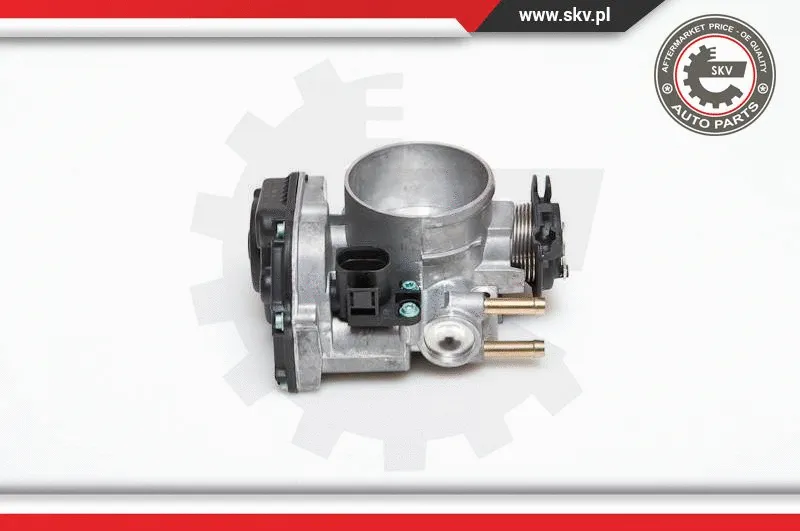 Throttle Body