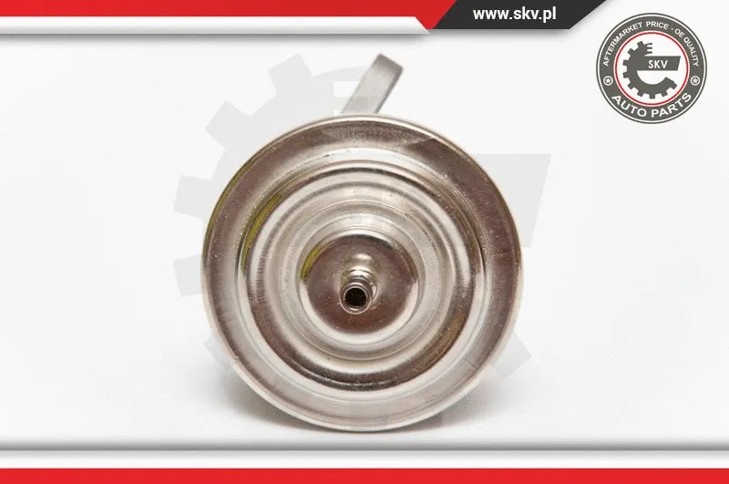 EGR Valve (14SKV068)