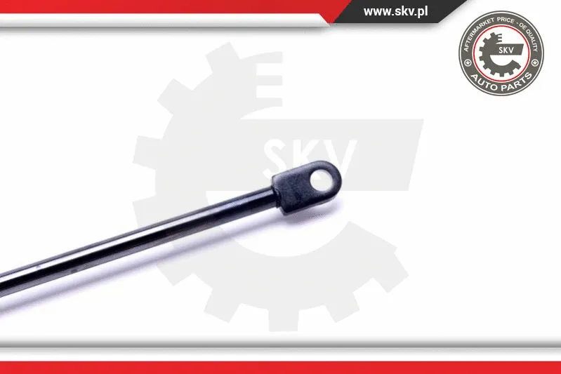 Gas Spring, boot/cargo area