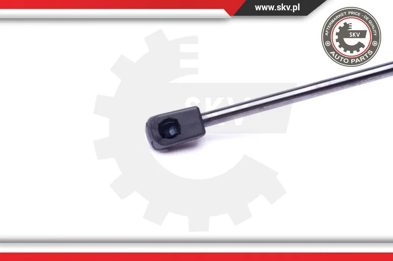 Gas Spring, boot/cargo area