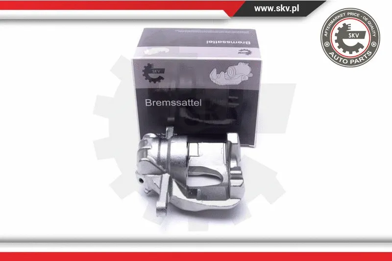 Brake Caliper (55SKV701)