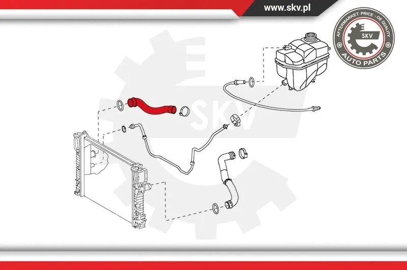 Radiator Hose
