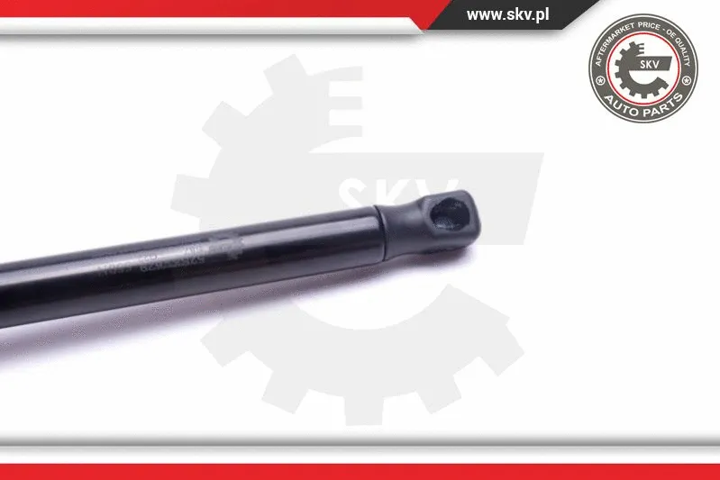 Gas Spring, boot/cargo area