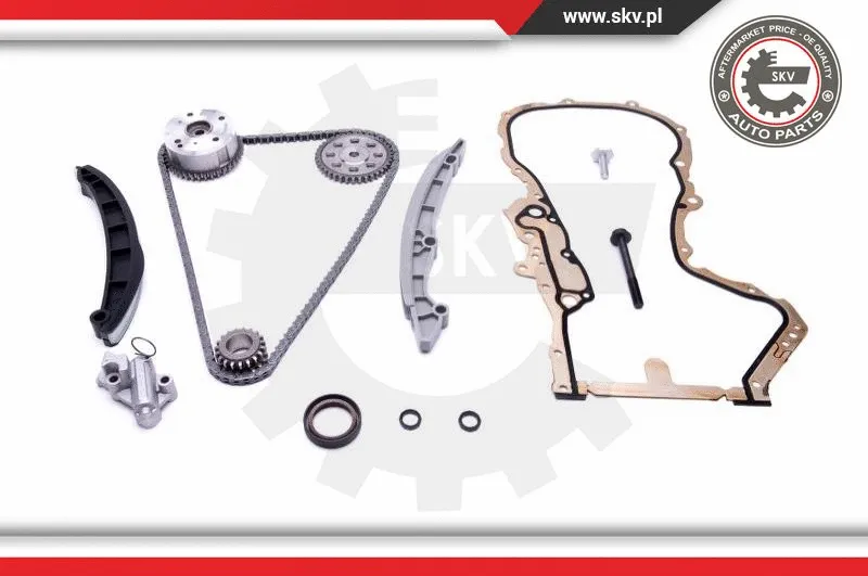 Timing Chain Kit