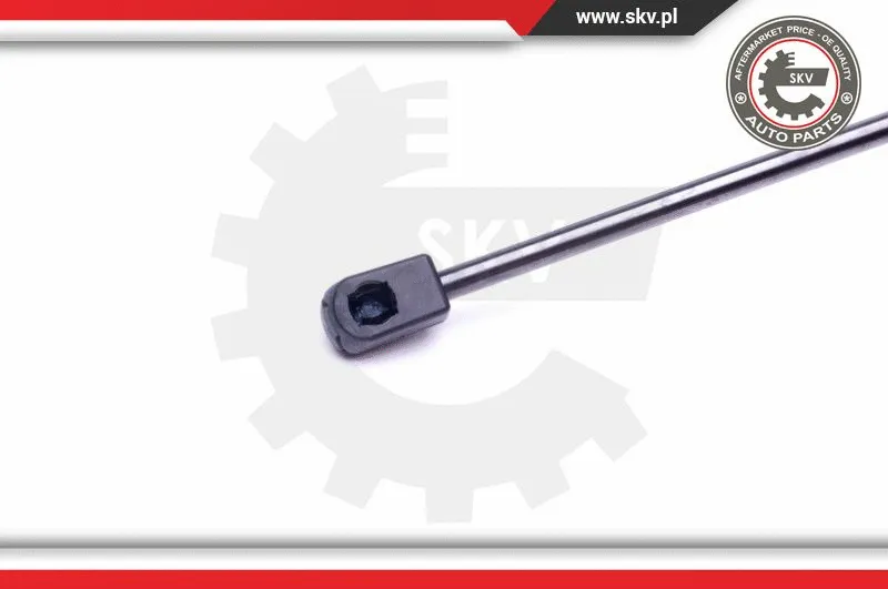 Gas Spring, boot/cargo area