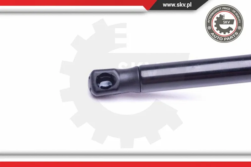 Gas Spring, boot/cargo area