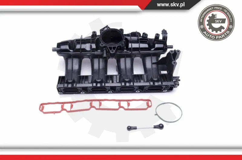 Intake Manifold Module