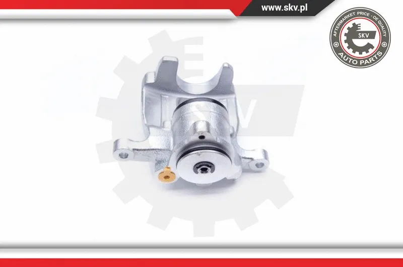 Brake Caliper (34SKV784)