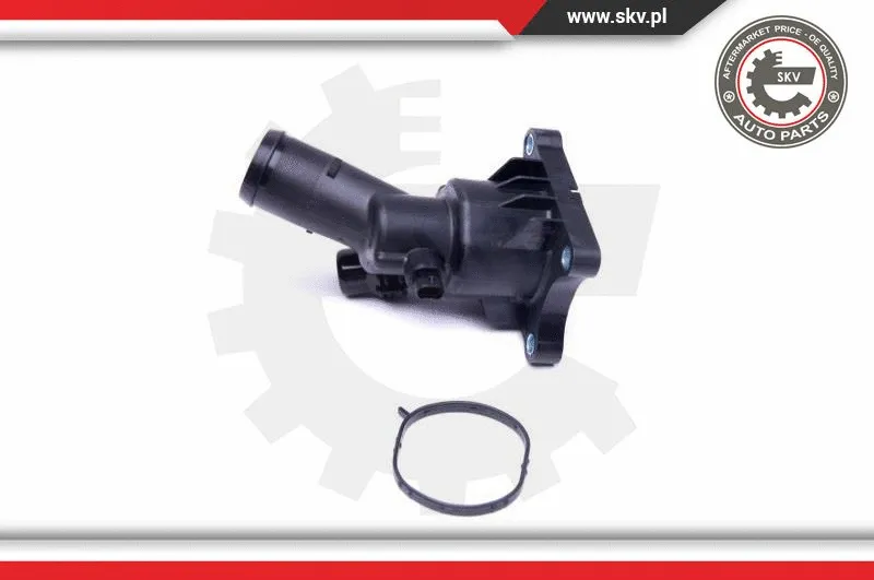 Thermostat, coolant