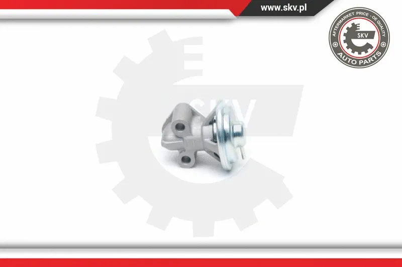 EGR Valve