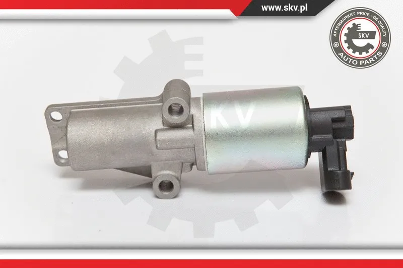EGR Valve