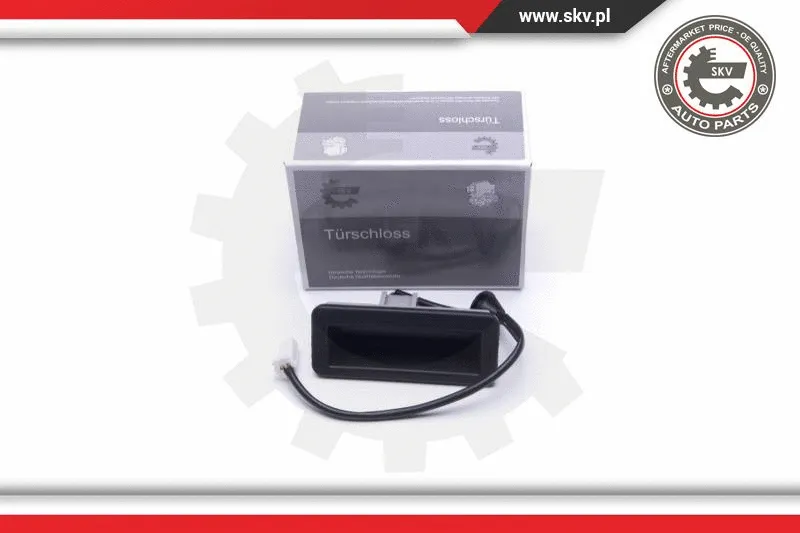 Tailgate Handle (16SKV250)