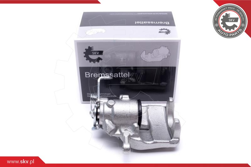 Brake Caliper (56SKV243)