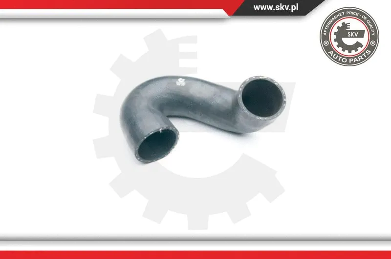 Charge Air Hose (24SKV093)