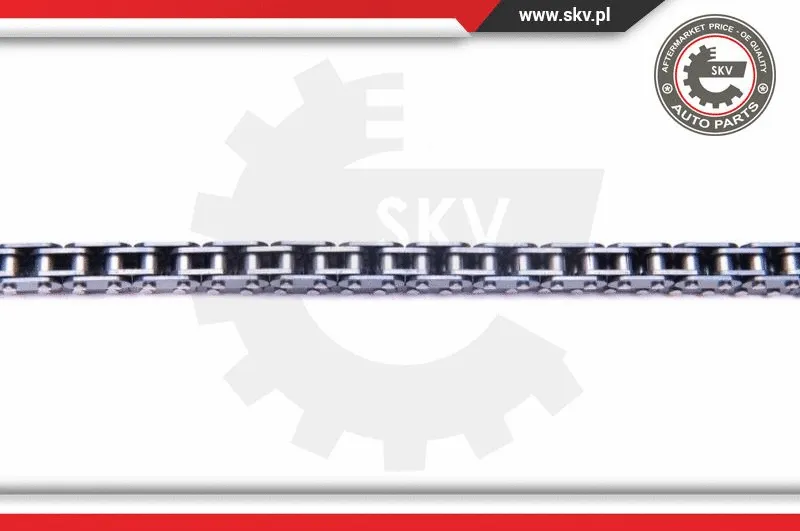 Timing Chain Kit