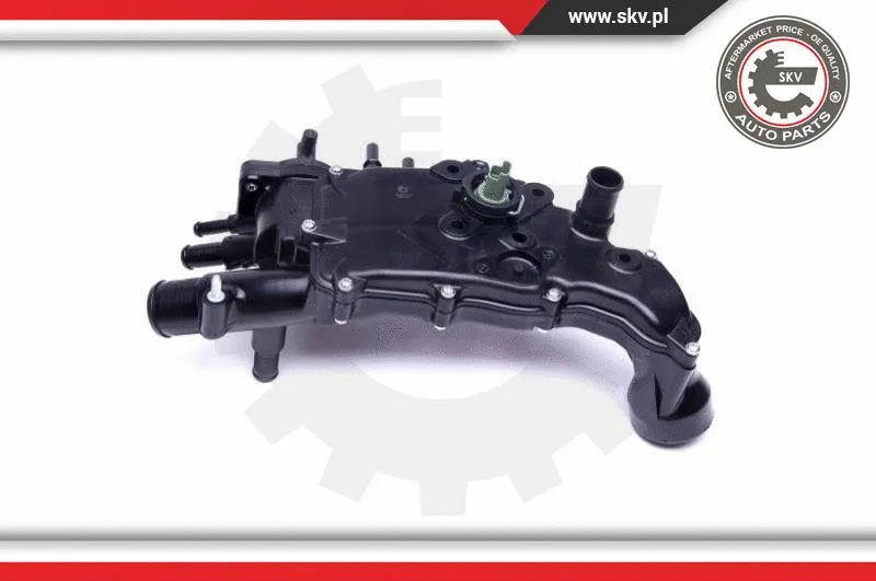 Thermostat, coolant