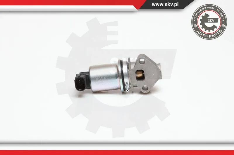 EGR Valve (14SKV029)