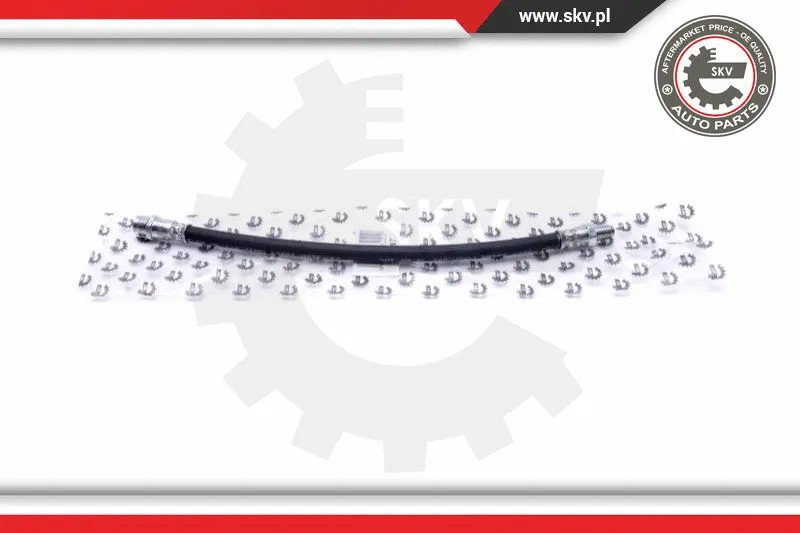 Brake Hose (35SKV187)