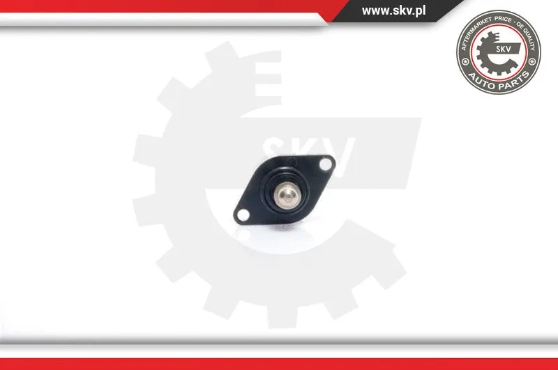 Idle Control Valve, air supply