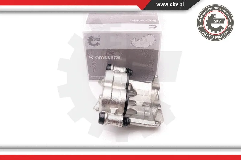 Brake Caliper (23SKV165)