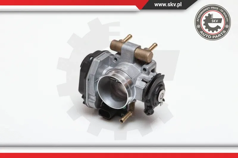 Throttle Body
