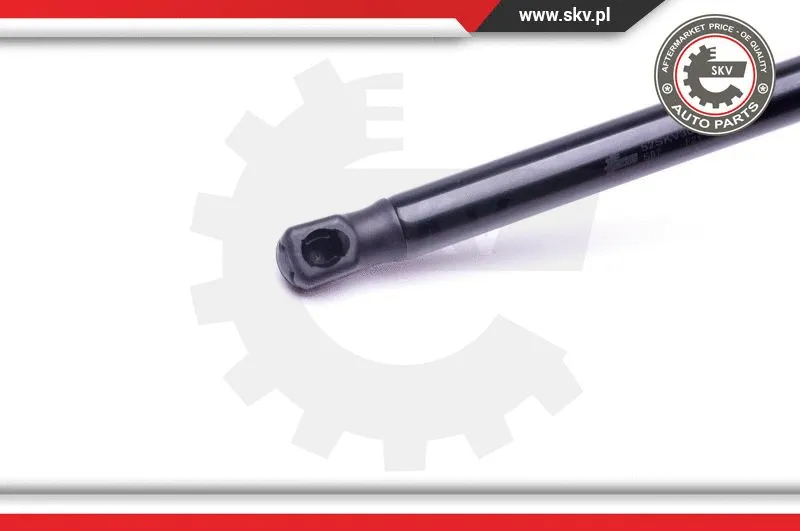 Gas Spring, boot/cargo area