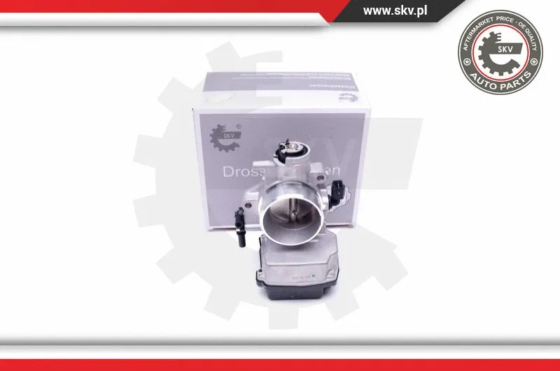 Throttle Body (12SKV071)