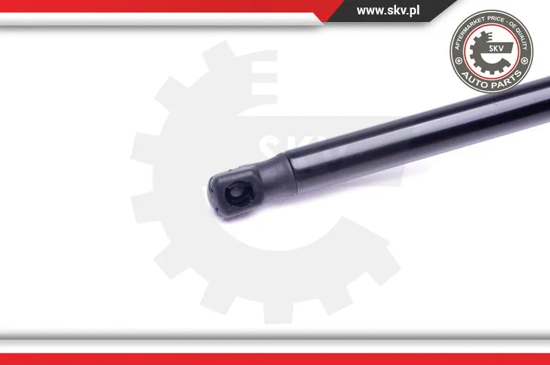 Gas Spring, boot/cargo area