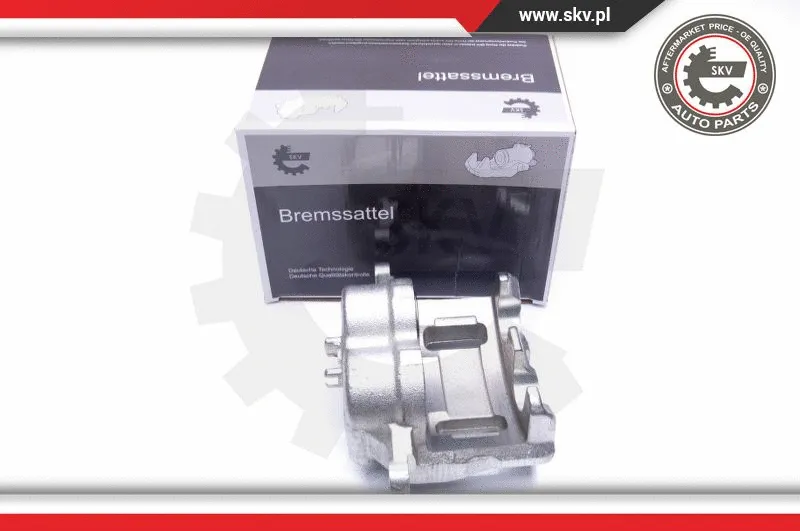 Brake Caliper (44SKV912)
