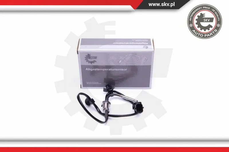 Sensor, exhaust gas temperature (30SKV289)