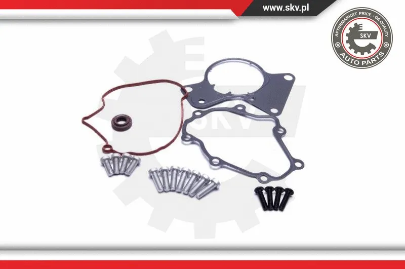 Repair Set, vacuum pump (braking system)