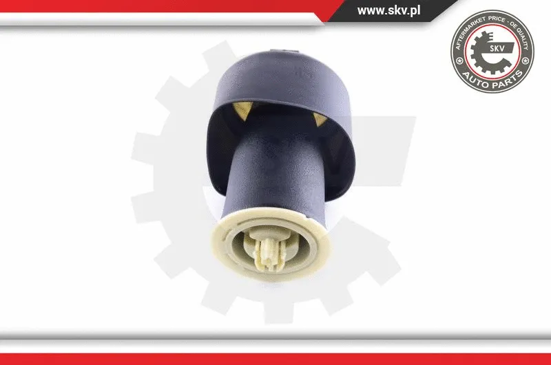Air Spring, suspension