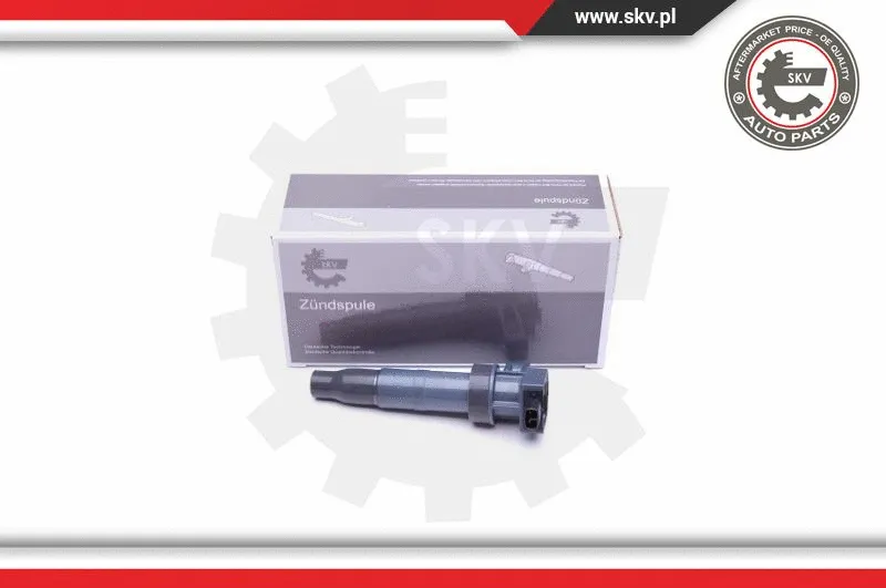 Ignition Coil (03SKV313)