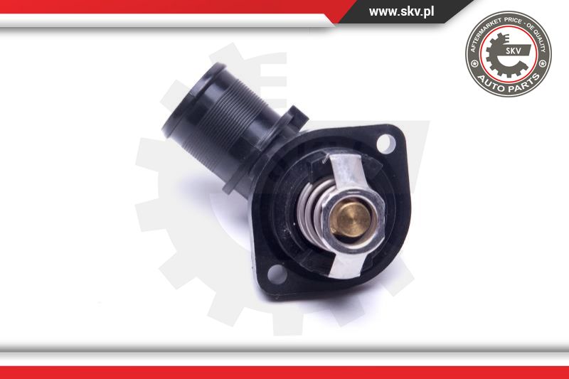 Thermostat, coolant