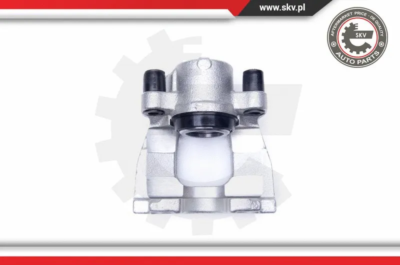 Brake Caliper (42SKV261)
