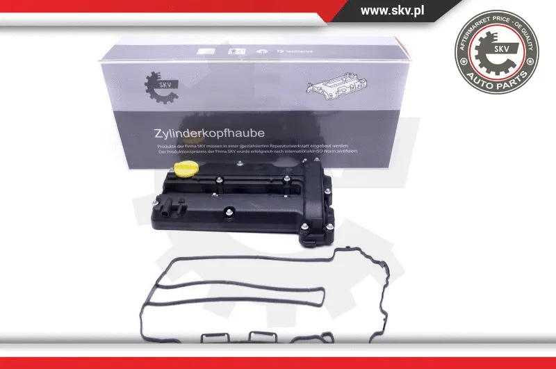 Cylinder Head Cover (48SKV068)