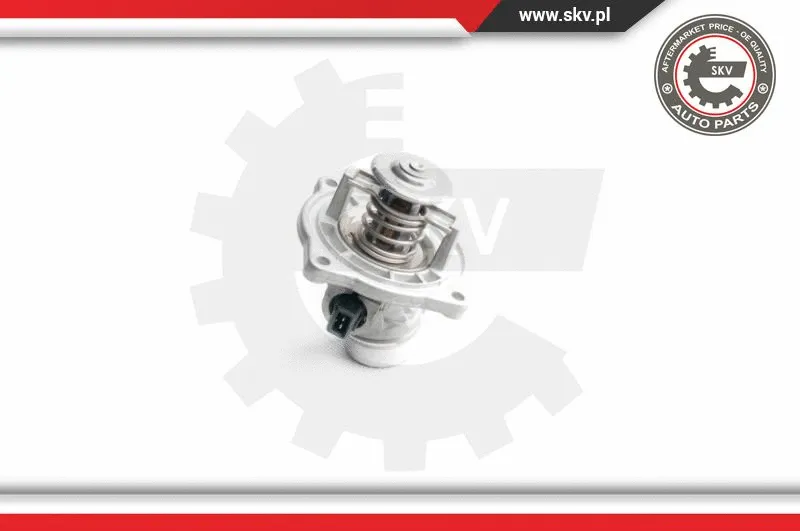 Thermostat, coolant