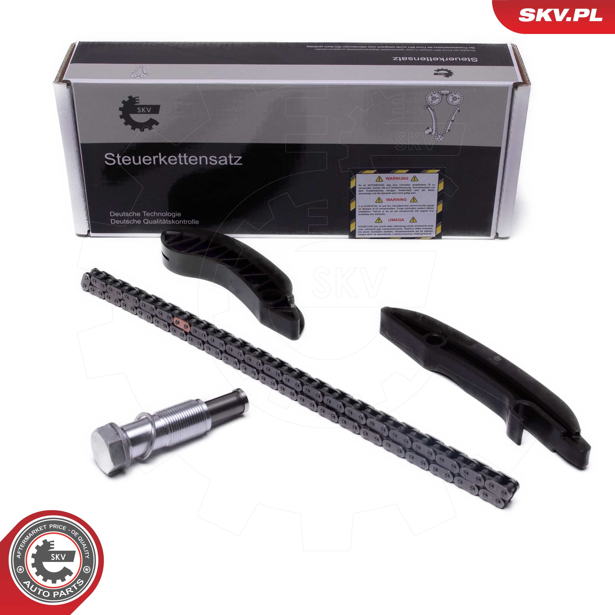 Timing Chain Kit (21SKV249)