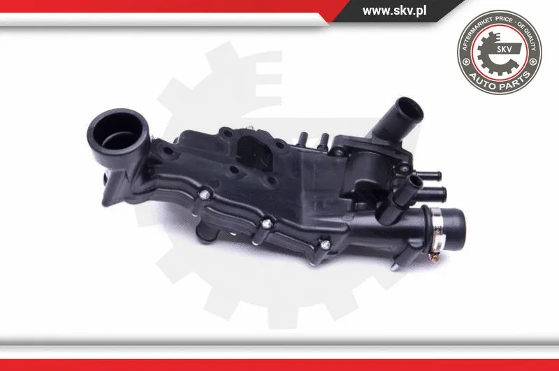 Thermostat, coolant