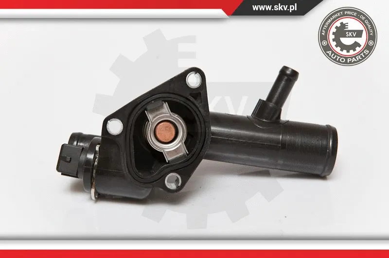 Thermostat, coolant
