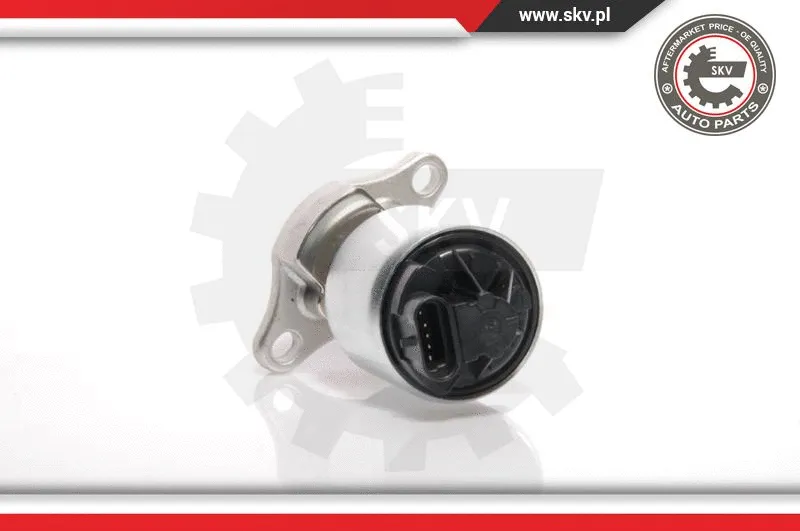 EGR Valve (14SKV035)