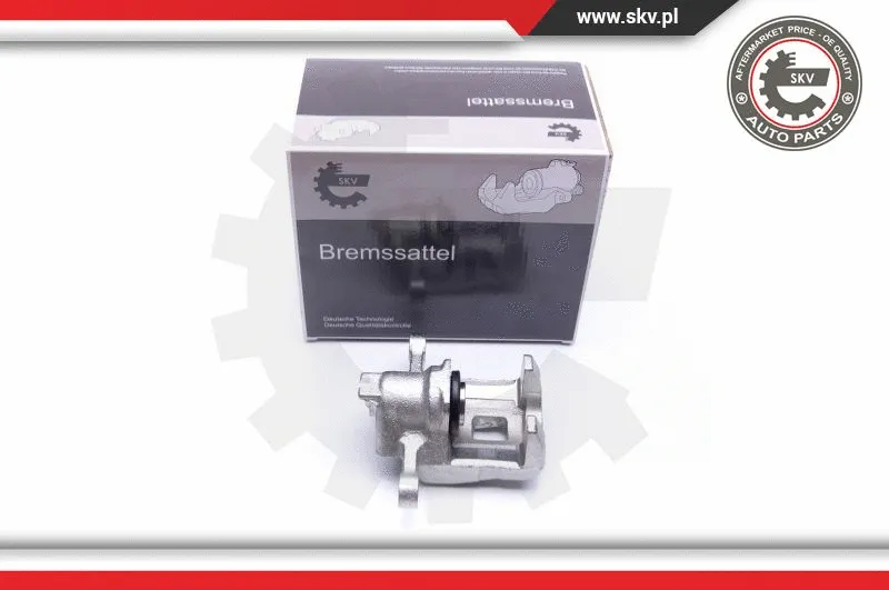 Brake Caliper (42SKV463)