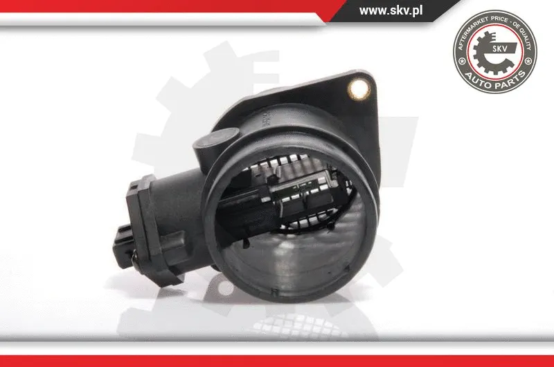 Mass Air Flow Sensor (07SKV006)