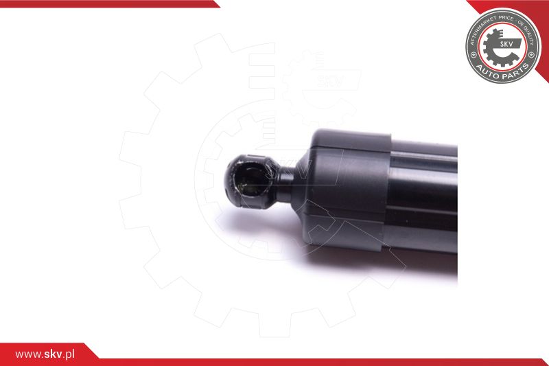 Electric Motor, tailgate