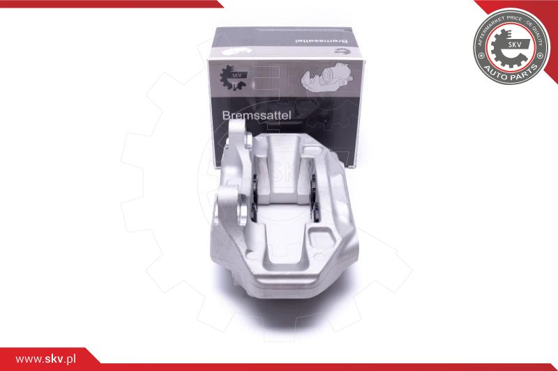 Brake Caliper (42SKV412)