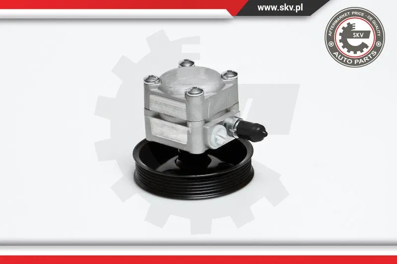 Hydraulic Pump, steering (10SKV027)