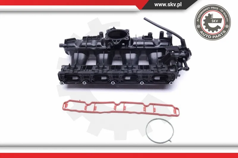 Intake Manifold Module