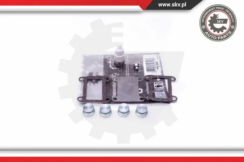 Repair Kit, intake manifold module (49SKV527)